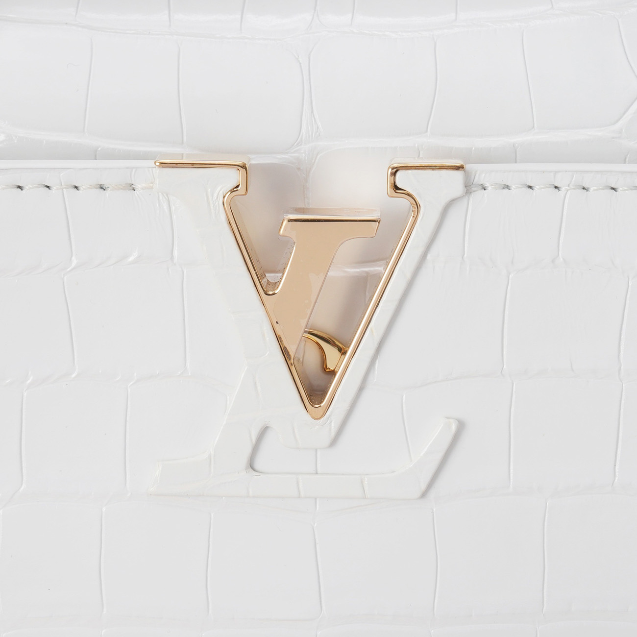 LOUIS VUITTON(USED)루이비통 이그조틱 와니 카퓌신 미니